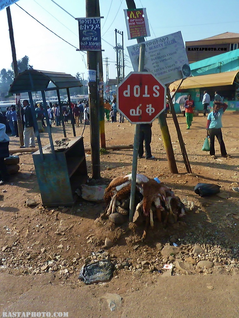 rastaphoto.com (c) North West Addis Ababa (1) (768x1024)